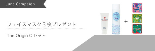 オリジンCセット